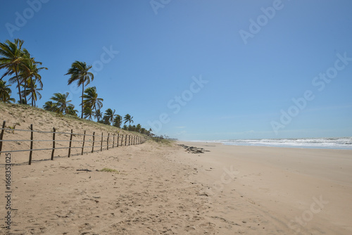 Praia com coqueiros e ondas
