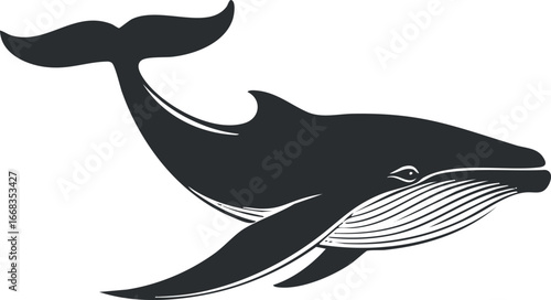 Black and white illustration of a whale swimming underwater with detailed lines