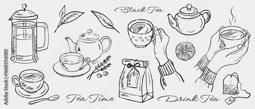 Tea cups, tea, kettle, french press, hand holding cup of tea in brush stroke texture isolated on white. Hand drawn vector sketch illustration in vintage charcoal ink. Decoration, cafe design, kitchen
