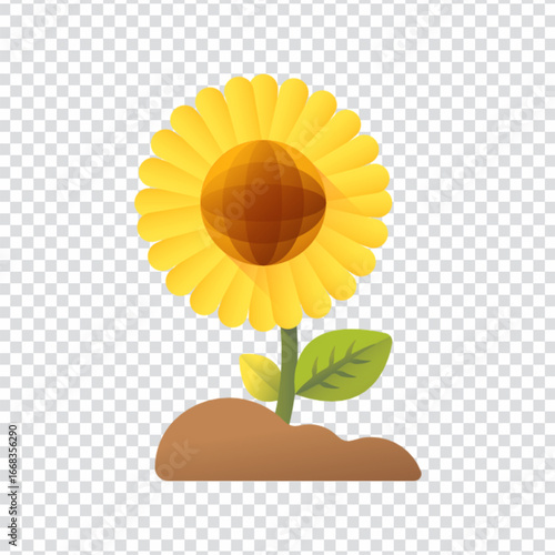 Sunflower Yellow Flower