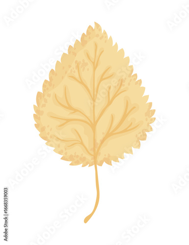 Yellow falling leaf. Autumn linden leaf isolated on a white background. Vector illustration.