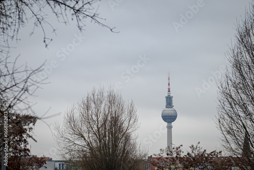 TV Tower in Berlin Framed by Bare Trees on Overcast Winter Day