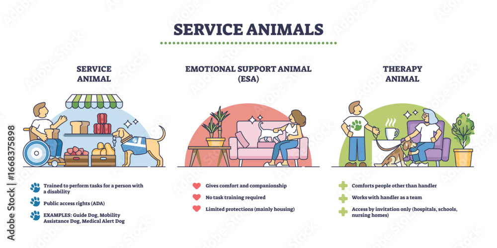 Obraz premium Service animals overview shows service animal, emotional support animal, and therapy animal with icons and brief roles. Outline diagram