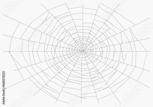 A gray imperfectly drawn spiderweb radiates from the center