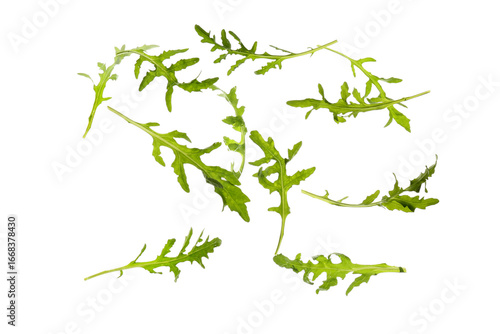 Fresh green arugula leaves ...