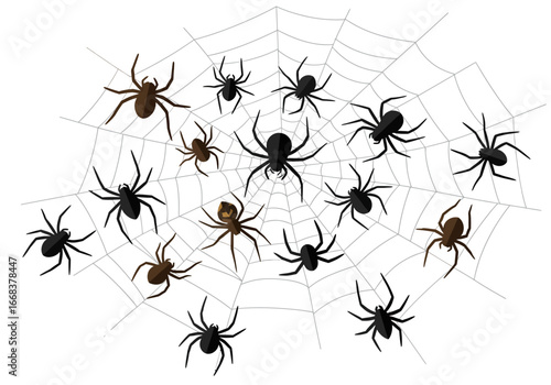 A spiderweb filled with 16 spiders some dark and some brown