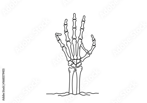 Skeleton hand emerging from the ground skeletal fingers bones