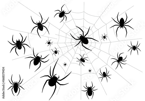 Spiders and their webs are scattered in a blackandwhite graphic
