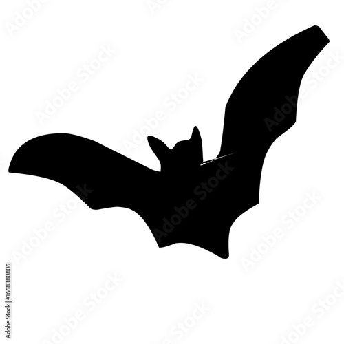 Halloween silhouettes black flying bats