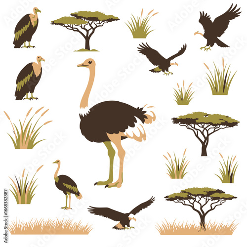 Vector elements of African savanna animals, ostriches, eagles, vultures, trees and grass