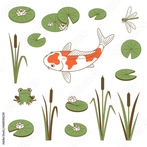 Charming illustration of a koi pond with various aquatic life and plants.