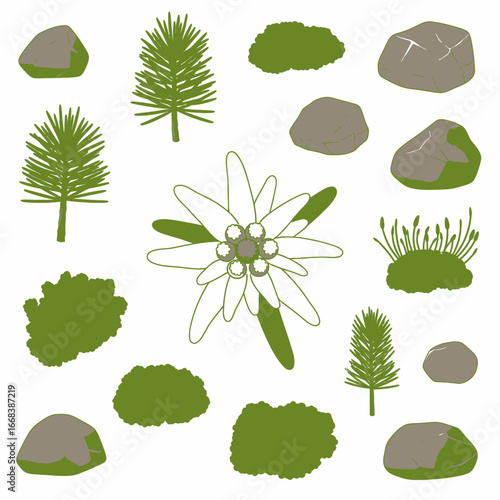 Collection of alpine plants and rocks. Edelweiss, pine, moss, and various stones.