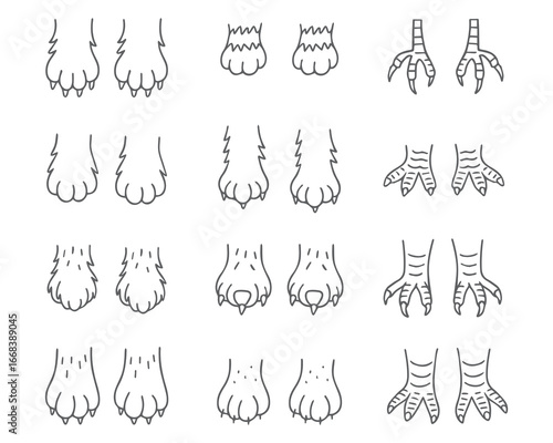 Set of paws of different animals. in doodle style. Ideal for educational materials, design projects and wildlife studies. Vector illustration