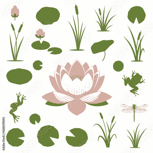 Beautiful illustration of aquatic plants and animals. Features water lilies, frogs, dragonflies, and various aquatic plants.