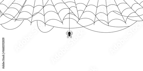 Black Spider Web and spider isolated on transparent background, vector Illustration. Halloween Spooky cobweb hanging decoration