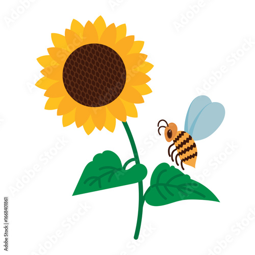 Sunflower flower with bee on green leaf. Vector of sunflower and bee in flat style. Seed harvest