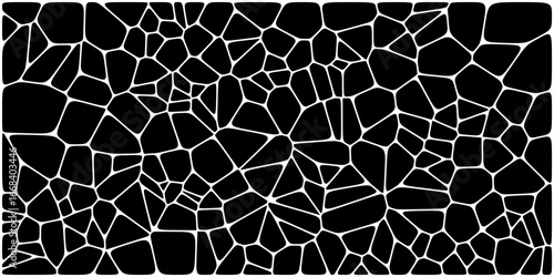 Abstract irregular polygon pattern with white outlines on a black background resembling cracked stone or mosaic.