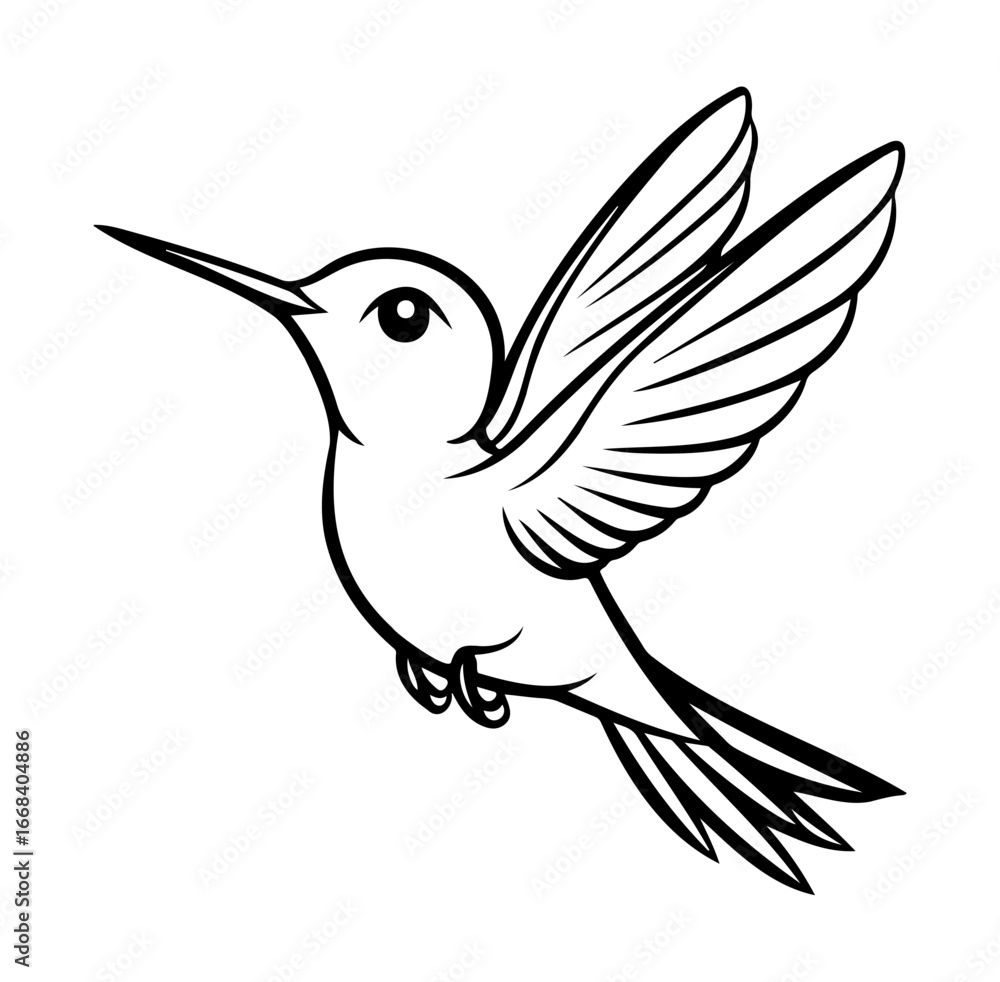 Fototapeta premium Elegant Hummingbird Doodle Design for Creative Projects and Illustrations