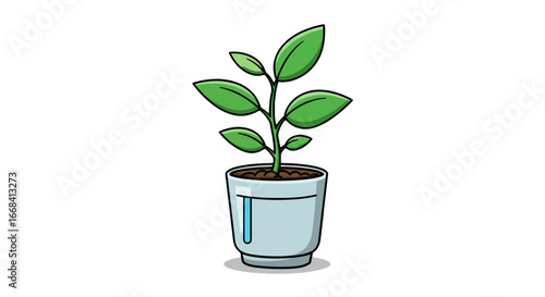 Green plant in pot illustration, growing indoor plant, houseplant, nature, gardening, horticulture, seedling on transparent background