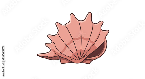 Seashell ocean sea nature marine beach shell aquatic underwater summer coast coral reef animal on transparent background