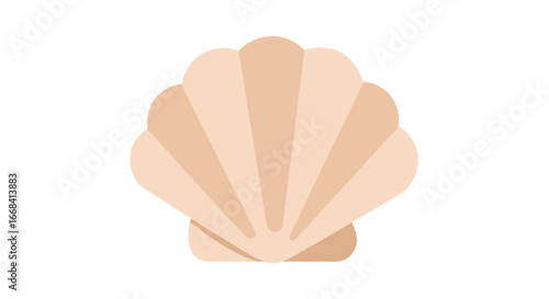 Sea shell beach seashell ocean marine aquatic animal nature summer coast clam scallop conch on transparent background