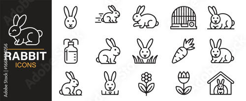 Collection of rabbit vector icons featuring running, sitting, and domestic pet rabbits.