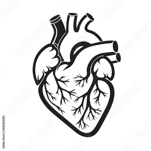 Vector art of anatomical illustration of a human heart