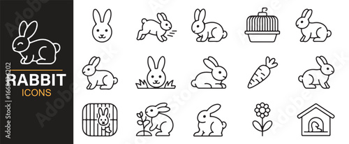 Line icons of rabbits showing pet care, wildlife, and breeding in modern design.