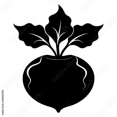 Black kohlrabi vegetable silhouette