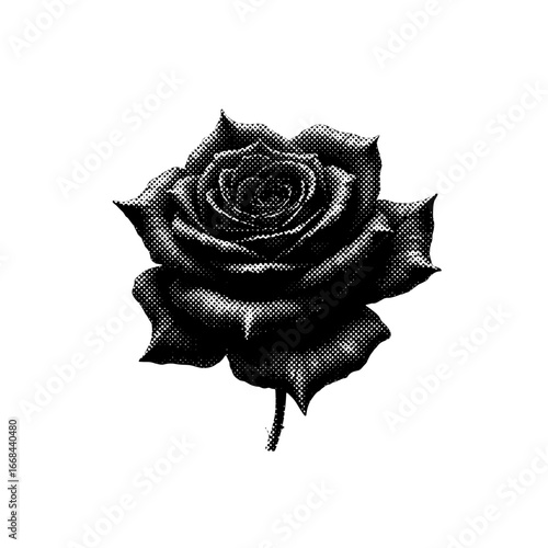 Halloween clipart, spooky illustrations, Halloween graphics, skull and roses, black cat clipart, ghost clipart, creepy pumpkin design, Halloween vector, spooky skull, dark art, bat clipart, devil char