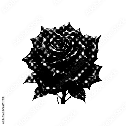 Halloween clipart, spooky illustrations, Halloween graphics, skull and roses, black cat clipart, ghost clipart, creepy pumpkin design, Halloween vector, spooky skull, dark art, bat clipart, devil char