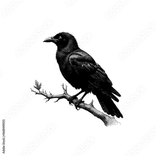 Halloween clipart, spooky illustrations, Halloween graphics, skull and roses, black cat clipart, ghost clipart, creepy pumpkin design, Halloween vector, spooky skull, dark art, bat clipart, devil char