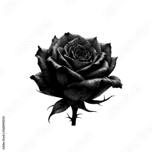 Halloween clipart, spooky illustrations, Halloween graphics, skull and roses, black cat clipart, ghost clipart, creepy pumpkin design, Halloween vector, spooky skull, dark art, bat clipart, devil char