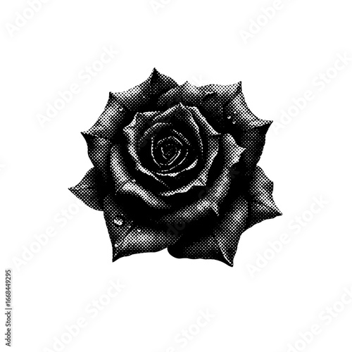 Halloween clipart, spooky illustrations, Halloween graphics, skull and roses, black cat clipart, ghost clipart, creepy pumpkin design, Halloween vector, spooky skull, dark art, bat clipart, devil char