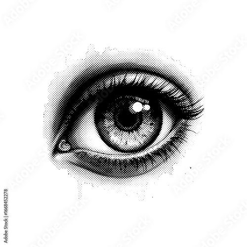 Halloween clipart, spooky illustrations, Halloween graphics, skull and roses, black cat clipart, ghost clipart, creepy pumpkin design, Halloween vector, spooky skull, dark art, bat clipart, devil char