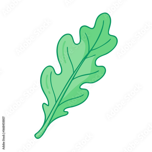 Cartoon drawing of an oak leaf with wavy margins on white