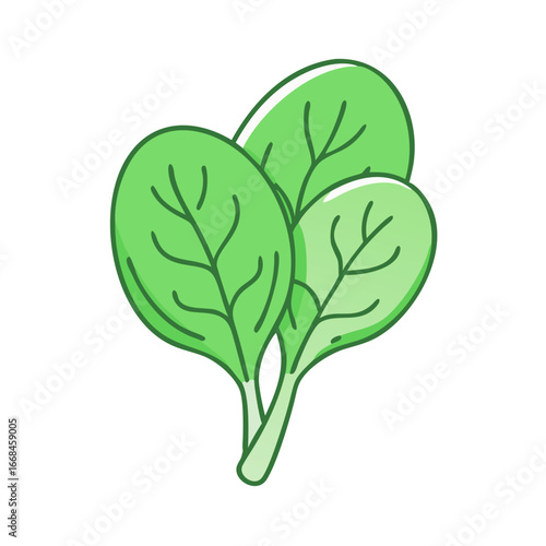 Fresh spinach leaves, a healthy vegetable option, great for salads and smoothies