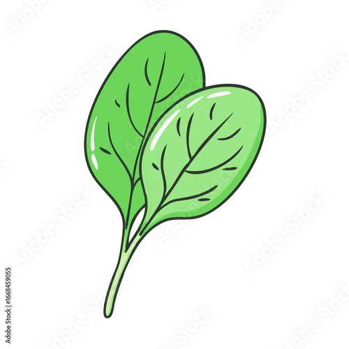 Fresh green spinach leaves, a nutritious and healthy cartoon illustration