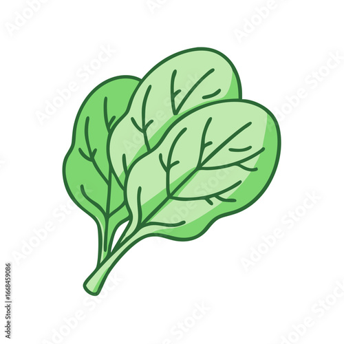 Illustration of green spinach leaves with visible veins and a stem