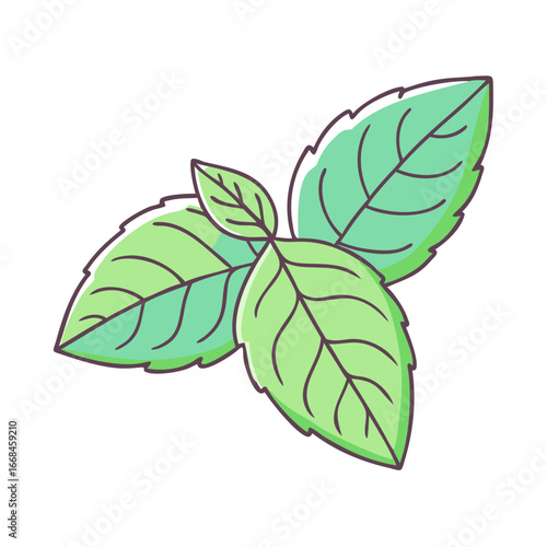 Illustration of fresh basil leaves, aromatic herb used in mediterranean cuisine