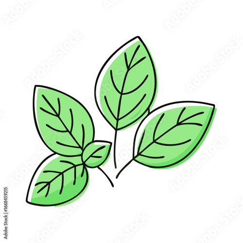 Illustration of several sprigs of fresh, light green basil leaves