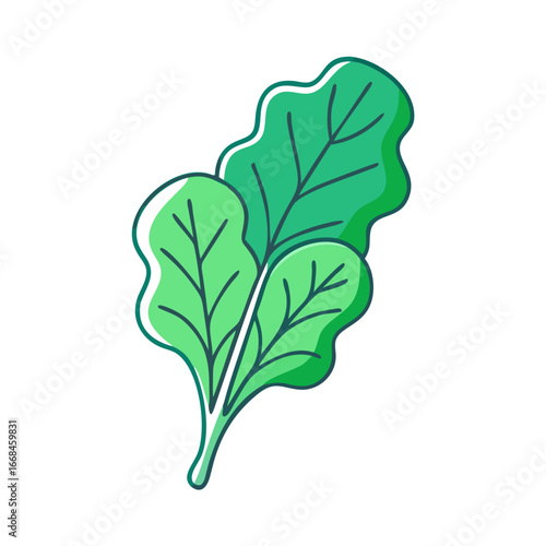 Fresh organic spinach leaves, a healthy and vibrant ingredient for cooking
