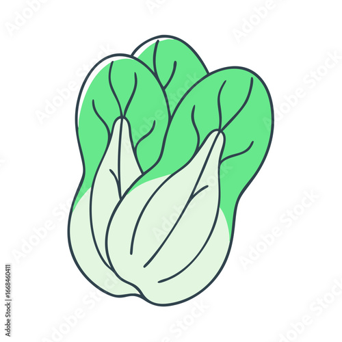 Illustration of a bok choy vegetable showing its layered leaves in detail