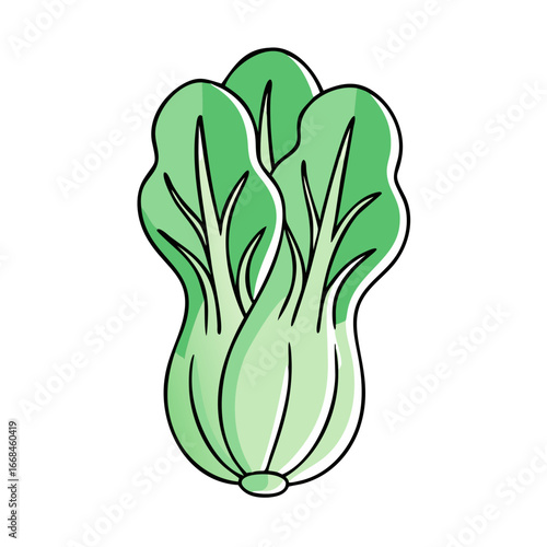 Illustration of fresh bok choy vegetable with vibrant green leaves isolated