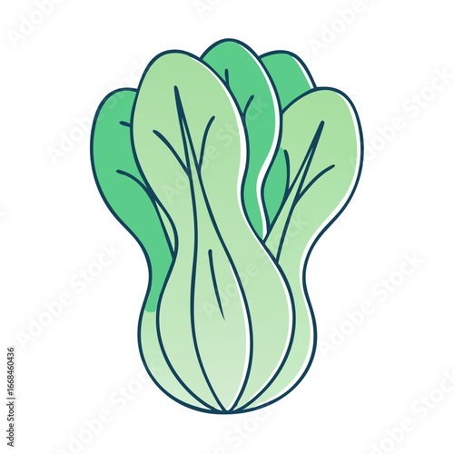 Stylized Bok Choy Vegetable with Prominent Leaf Veins and Rounded Edges