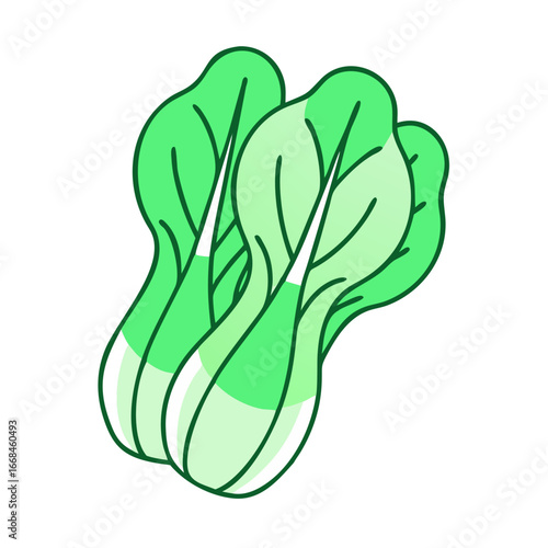 Stylized Drawing of Two Heads of Bok Choy on a White Background