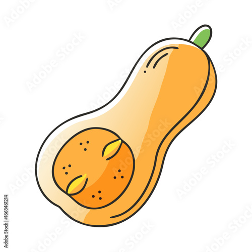 Illustration of a halved butternut squash showcasing vibrant orange flesh and seeds