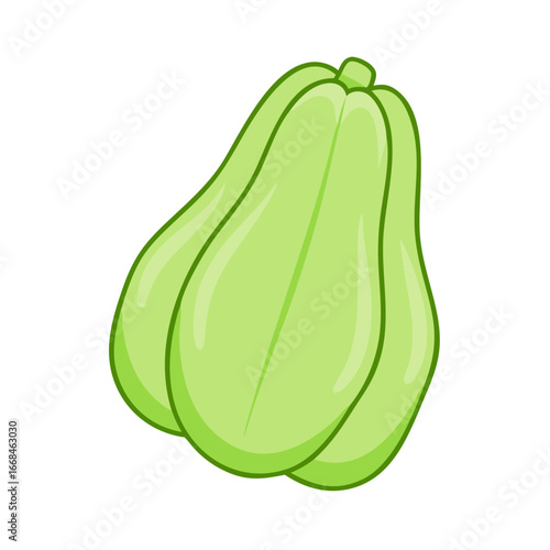 Cartoon Chayote Squash Illustration Isolated on White Background for Educational Purposes