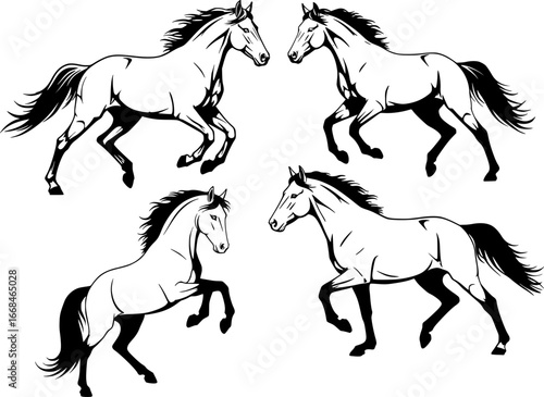 A set of four dynamic horses depicted in a stylish black and white outline drawing showcasing galloping rearing and trotting poses