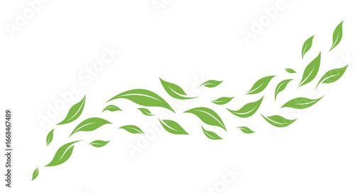 A stylized illustration of green leaves flowing in a curved, dynamic pattern.